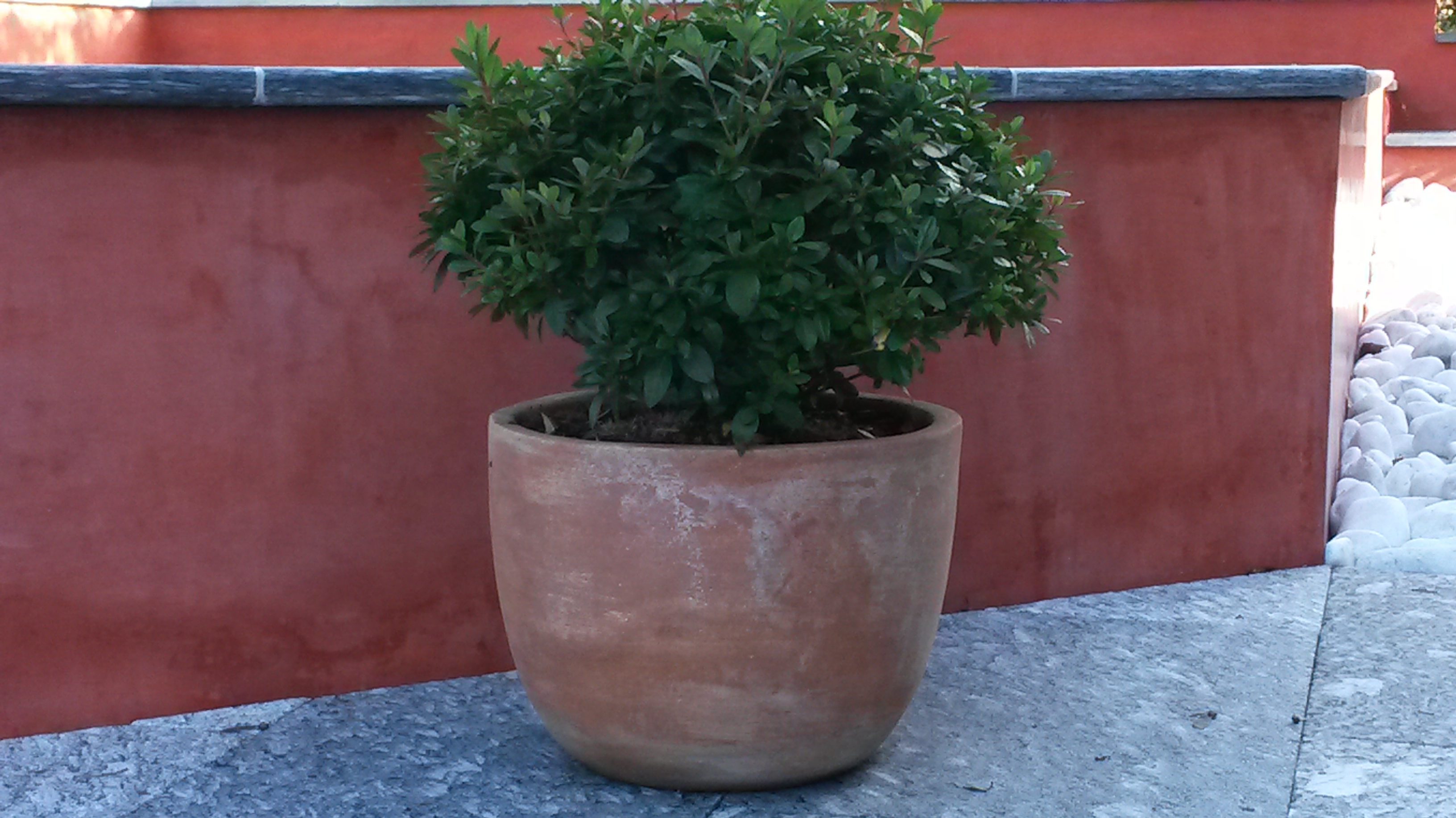 stucco wand rot aussen mediterran style.jpg