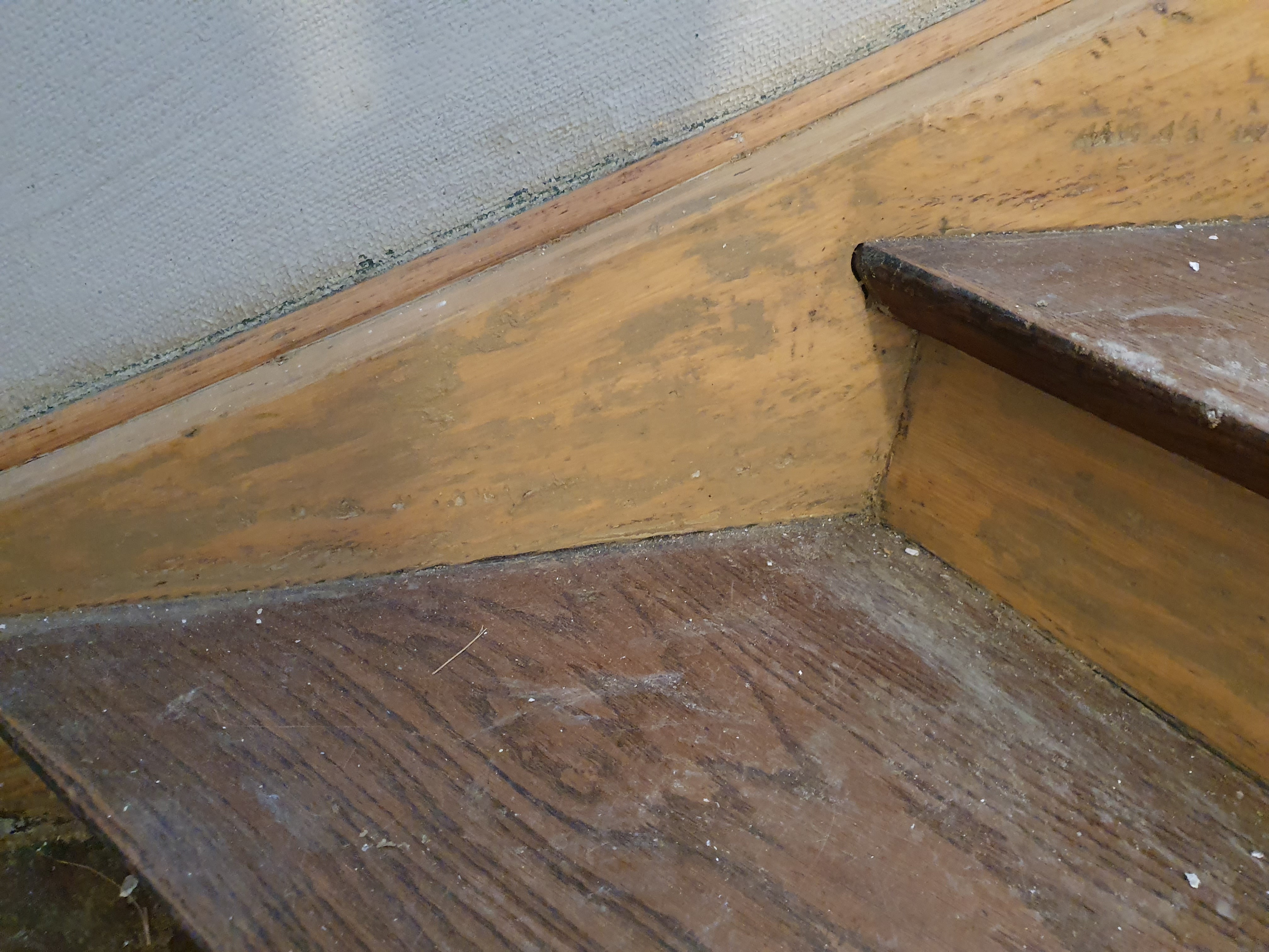 treppe restaurierung.jpg