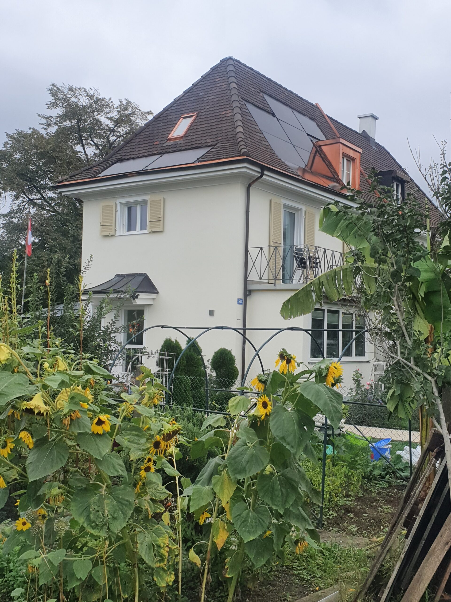 fassadenanstrich altbau renovation.jpg