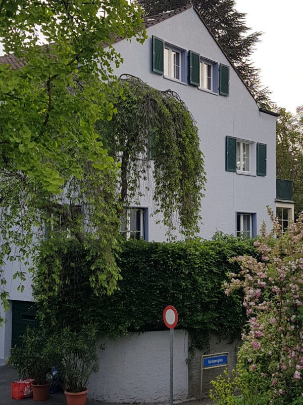 hauswand renovieren basel.jpg